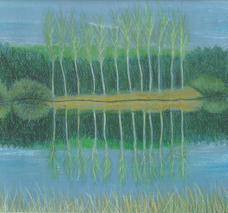 Spring Trees at Merebrook